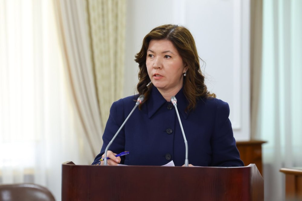 Қазақстандағы оқу бағдарламалары мен білім беру стандарттары жаңа Конституцияның нормалары бойынша қайта қаралды