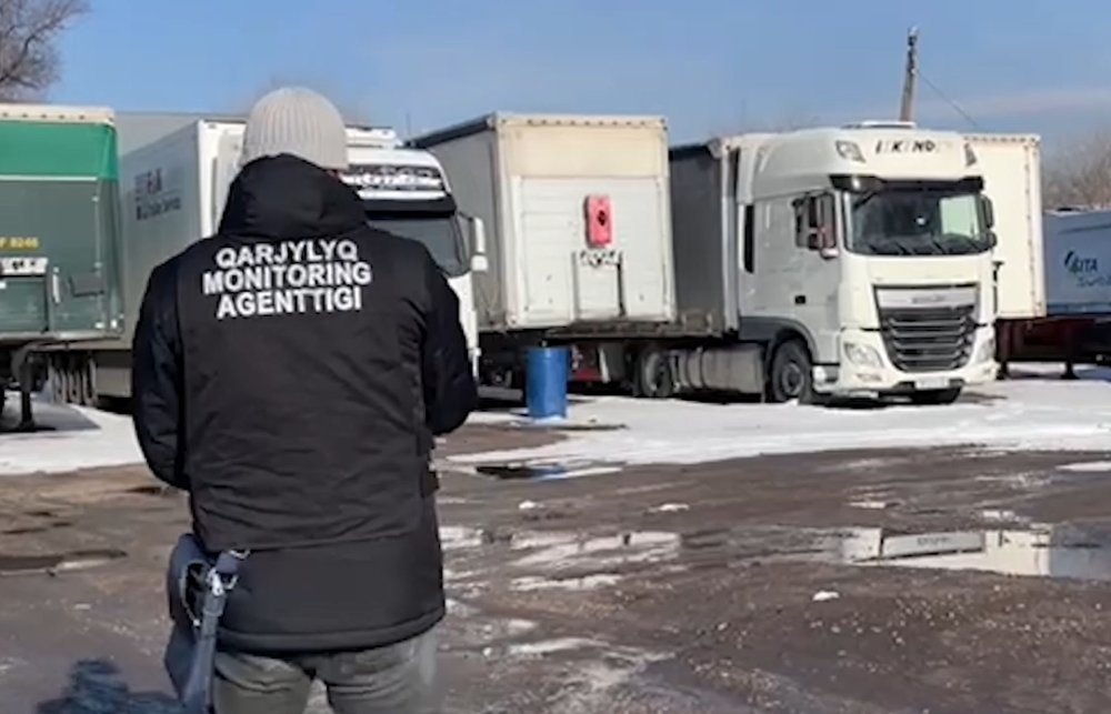 Төленбеген алымдар 6,6 млрд теңгеден асқан: Алматы облысында ұйымдасқан қылмыстық топтың 17 мүшесі сотталды