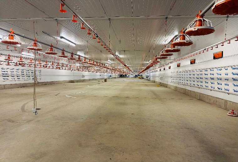 Атырауда құс етін өндіретін «Atyrau Chicken» фабрика жұмыс жасайды