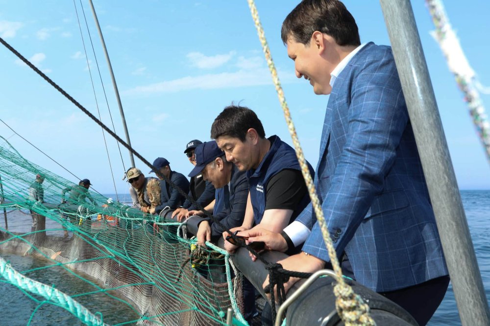 Маңғыстауда теңіз аквакультурасы қарқын алуда: өндіріс көлемі жылына 5 мың тоннаға жетеді
