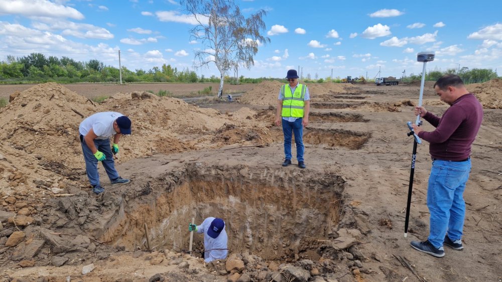 Қарағанды облысында орман отырғызуға арналған көшет материалын өсіру көлемі артып келеді