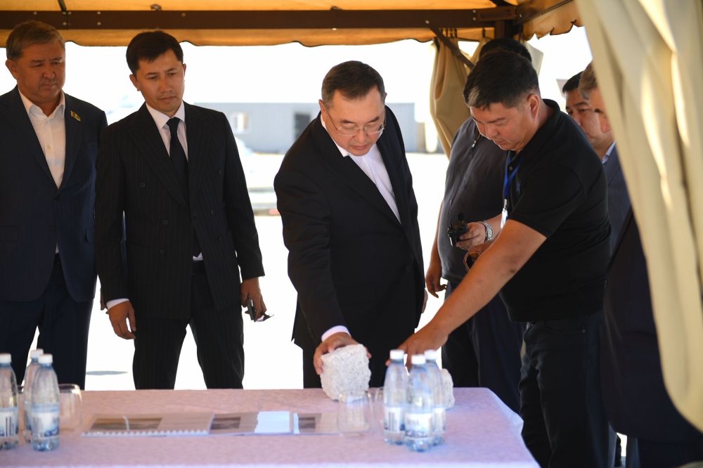 Алматы облысының әкімі Ұйғыр ауданындағы кәсіпорындарды аралады