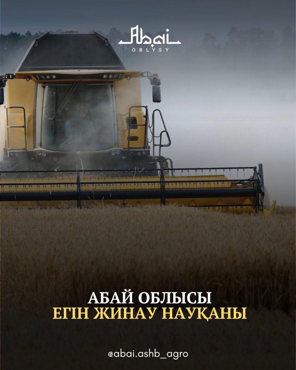 Абай облысында егін жинау науқаны жалғасуда
