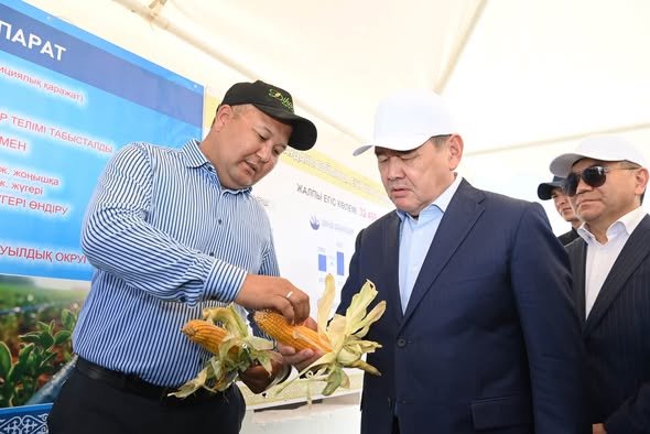 Шиелі ауданындағы су үнемдеу технологиясымен жүгері өсіру жобалары таныстырылды