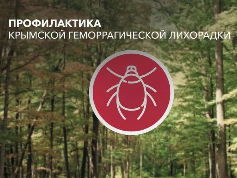 Конго-Қырым геморрагиялық қызбасы: нені білуі керек?