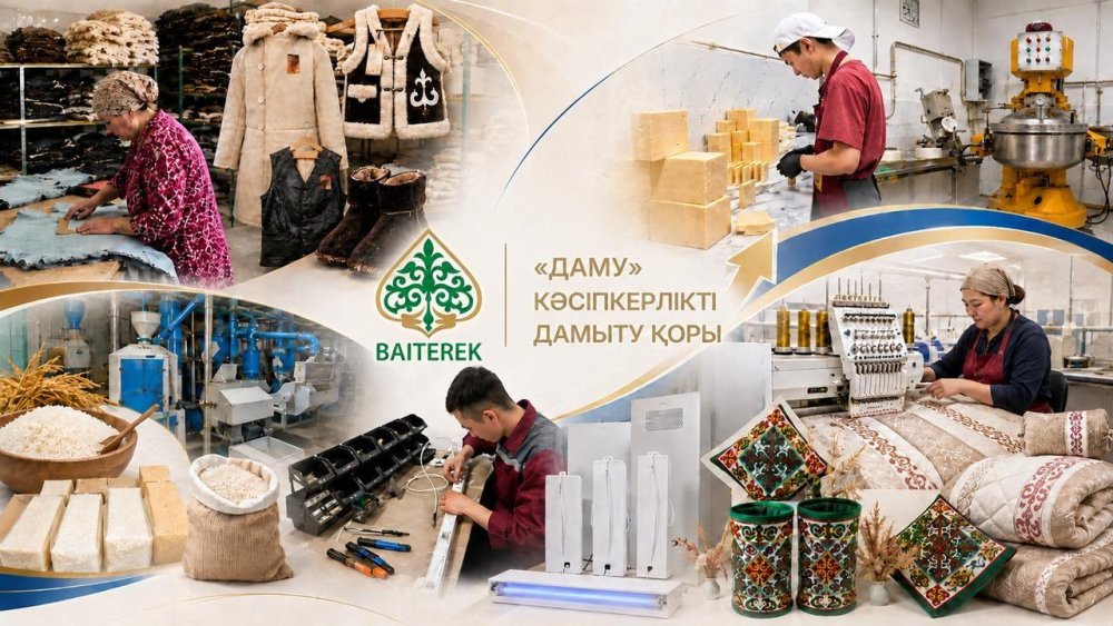 «Іскер аймақ» бағдарламасы бойынша шағын бизнесті субсидиялау шарттары жаңартылды