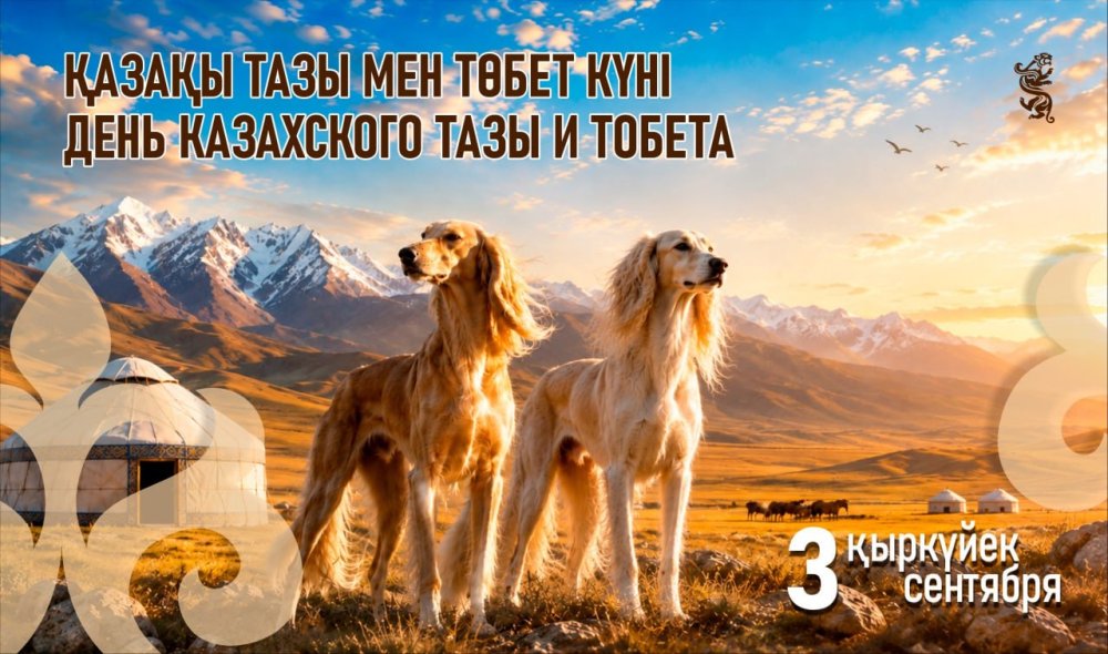 Бүгін алғаш рет Қазақы тазы мен төбет күні атап өтіледі