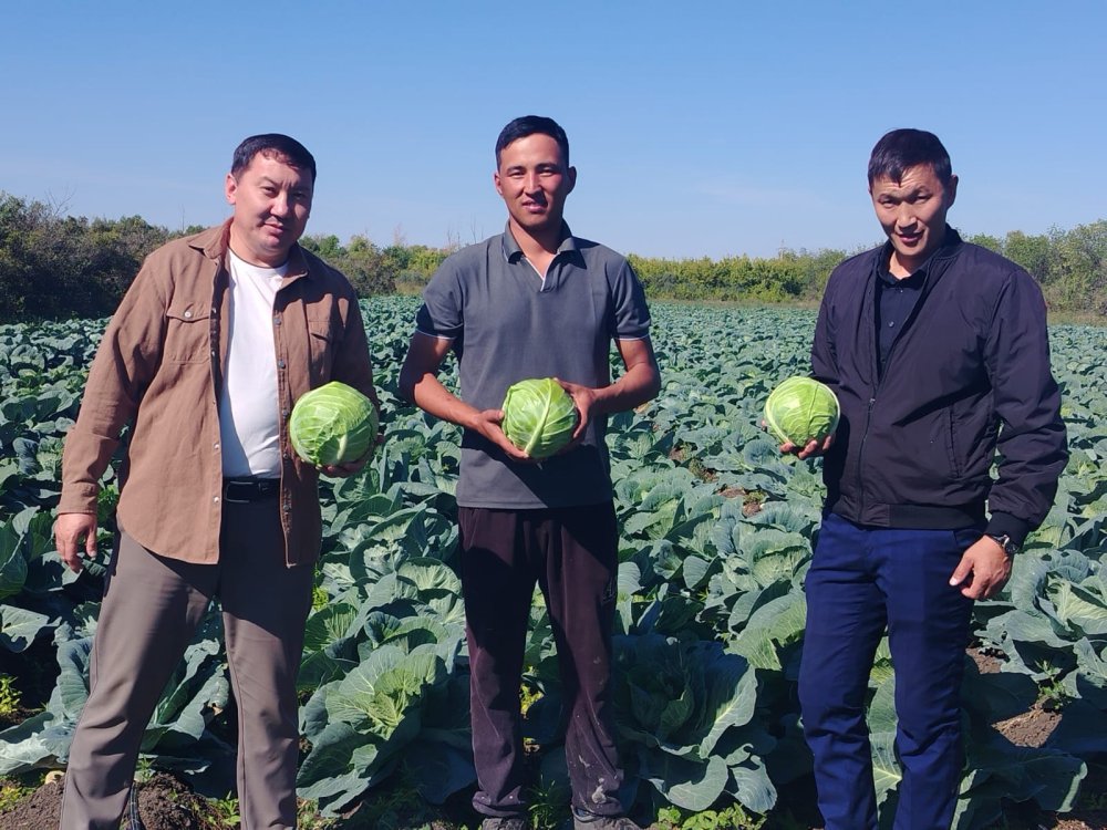 Червонный ауылына жұмыс сапары: көкөніс шаруашылығын дамыту және кәсіпкерлердің бастамаларын қолдау