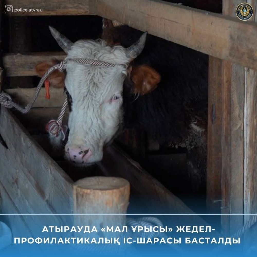 Атырауда «Мал ұрысы» жедел-профилактикалық іс-шарасы басталды