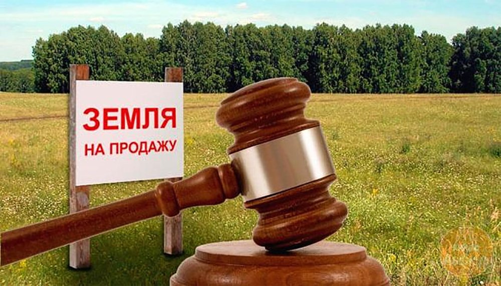Жер учаскелеріне жалға алу құқықтарын сату бойынша электрондық аукциондар өтеді