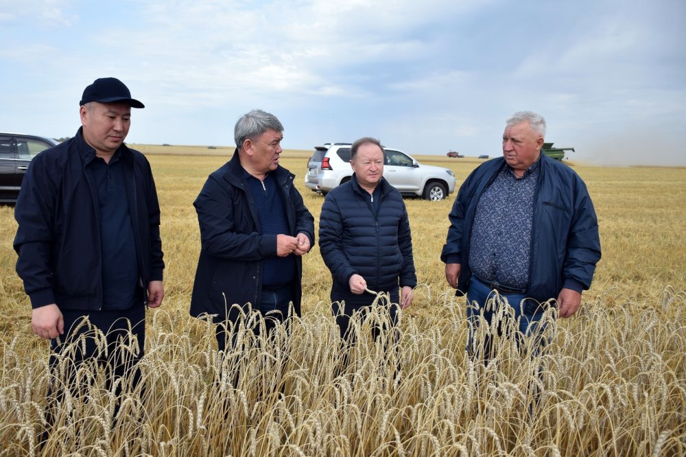 СҚО әкімінің бірінші орынбасары Қызылжар ауданындағы орақ науқанының барысымен танысты