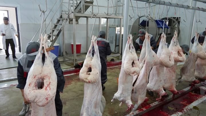 КЕЛЕСТЕ ЕТ ӨНДІРІСІНЕ БАҒЫТТАЛҒАН 1,8 МЛРД ТЕҢГЕЛІК ЖОБА ЖҮЗЕГЕ АСУДА