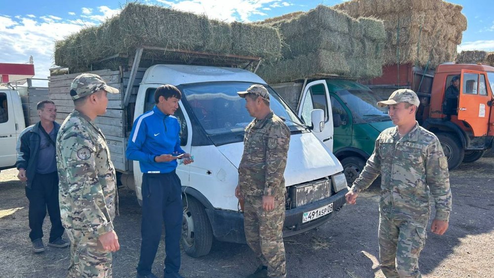 Меркі ауданында егін алқаптарында профилактикалық жұмыстар жүргізілді