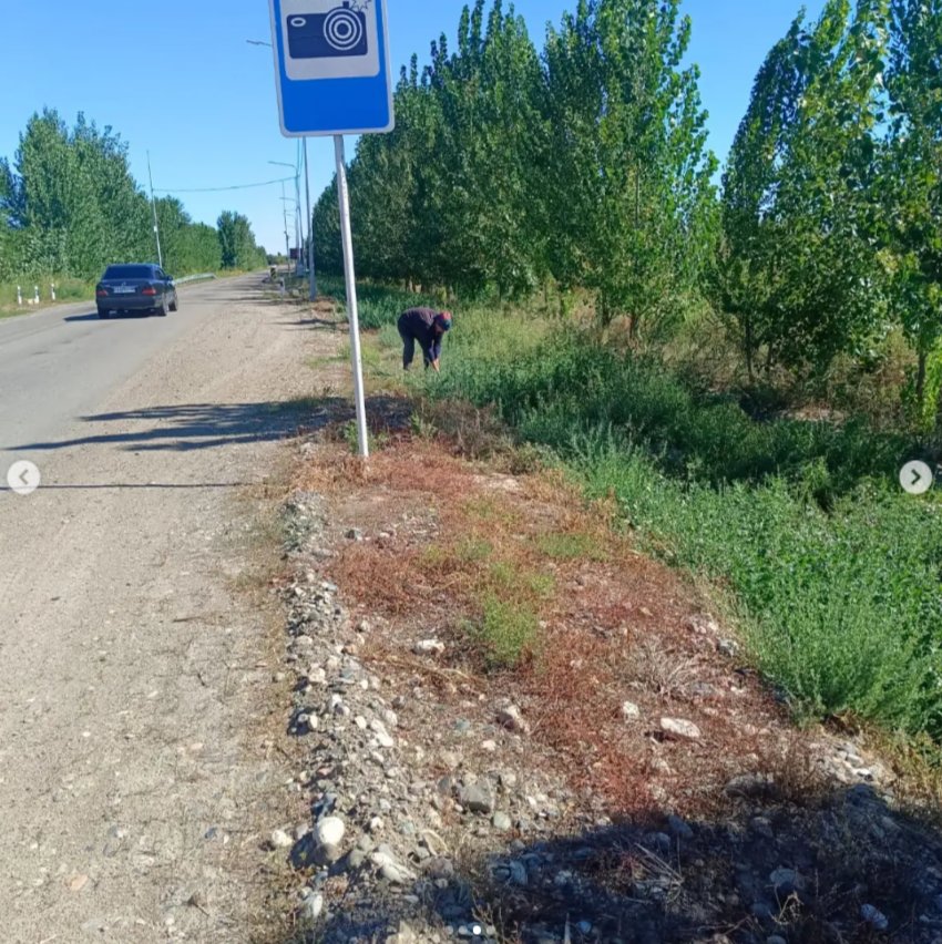 «Таза Қазақстан» республикалық экологиялық акциясы
