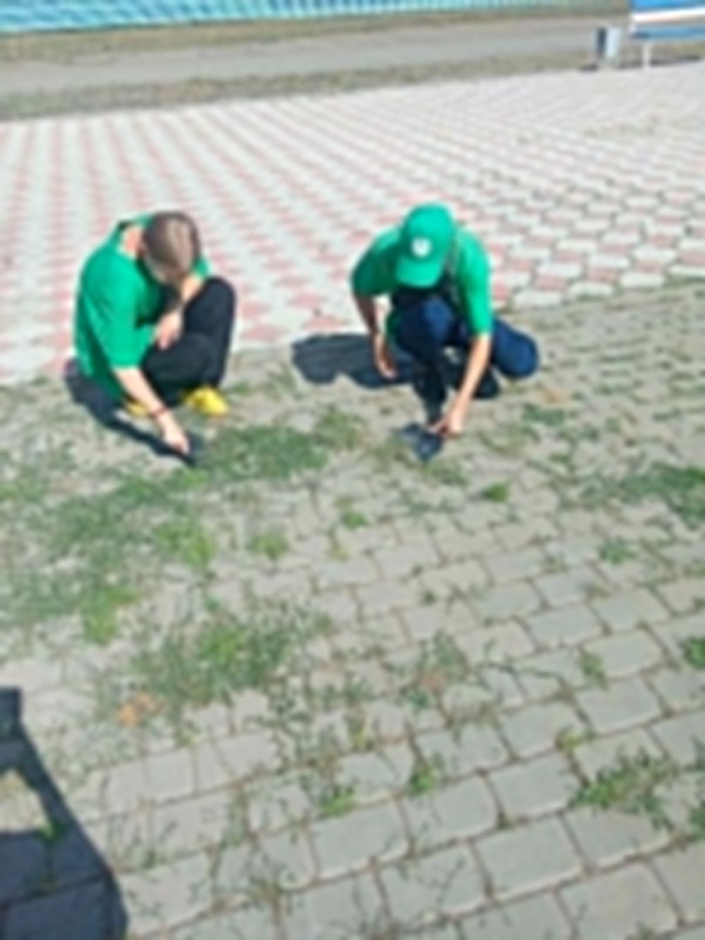 🌿 Трудовой отряд молодежи — вместе за чистый и благоустроенный Аманкарагай!