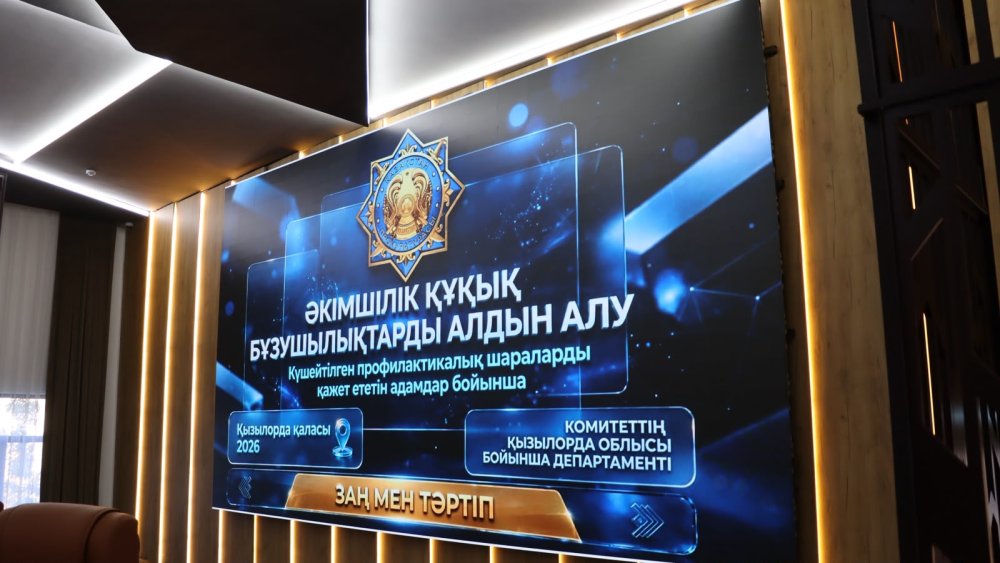 В Кызылординской области состоялось межведомственное совещание по вопросам профилактики правонарушений — Фото 2