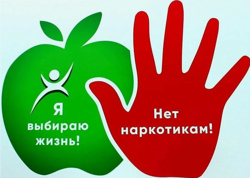 Правовые последствия незаконного оборота и немедицинского употребления наркотических средств в Республике Казахстан
