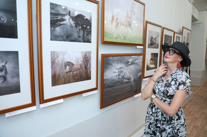 Земля, грация и космос: в Караганде открылась выставка художественной фотографии