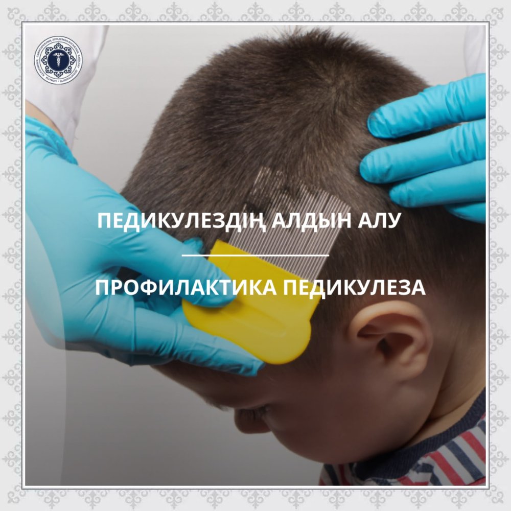 Профилактика педикулеза