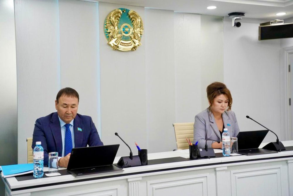 Депутаты рассмотрели вопросы использования бюджетных средства на освещение и декоративную подсветку (10.09.2026)