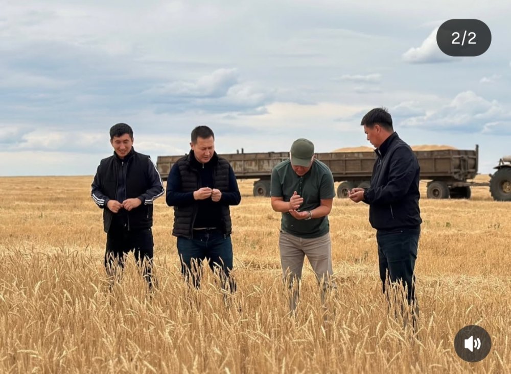 🌾 В Айтекебийском районе в разгаре уборочная кампания