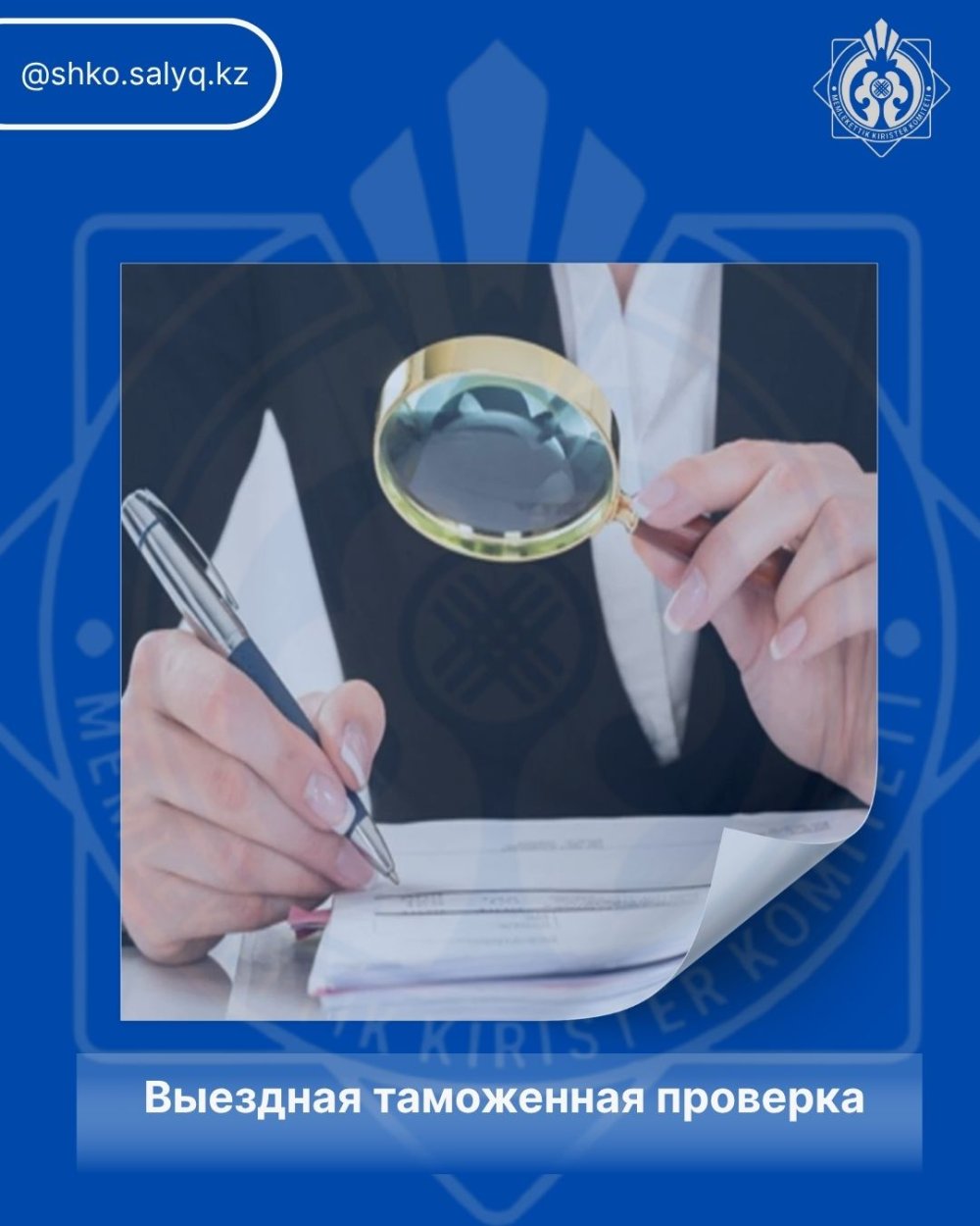 Выездная таможенная проверка