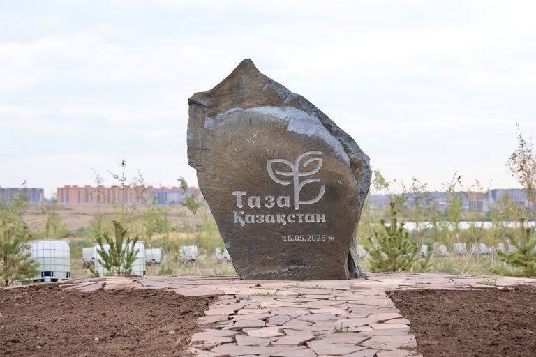 Будущий экопарк Караганды пополнился 500 деревьями