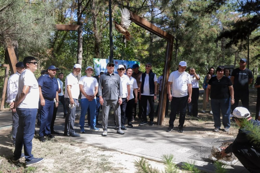 ГОРОЖАНЕ ВНЕСЛИ СВОЙ ВКЛАД В ЧИСТОТУ