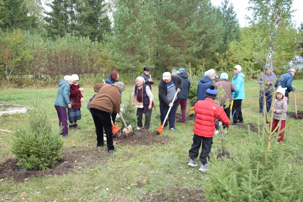 В рамках всемирной акции World Cleanup Day в Кызылжарском районе высадили 350 деревьев