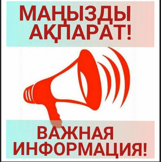 Единый день отчета