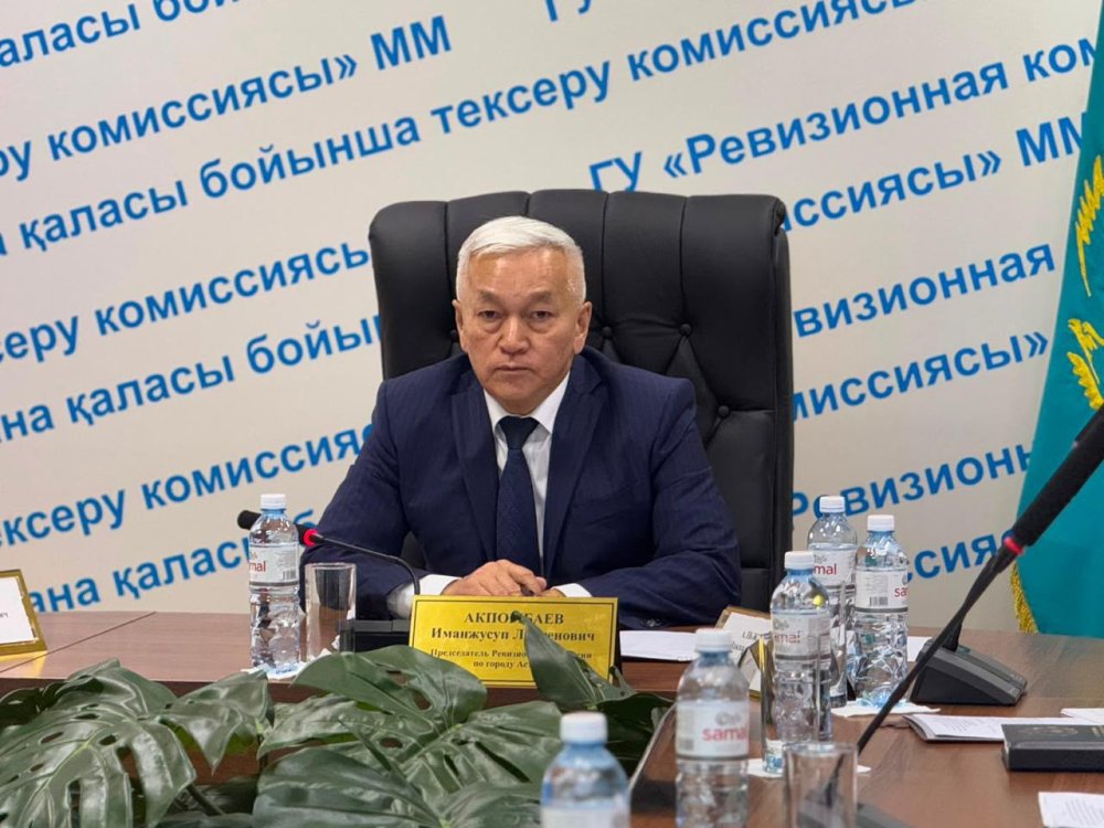 Итоги государственного аудита эффективности реализации бюджетных программ в сфере цифровизации и выполнения государственных обязательств по проектам государственно-частного партнерства.