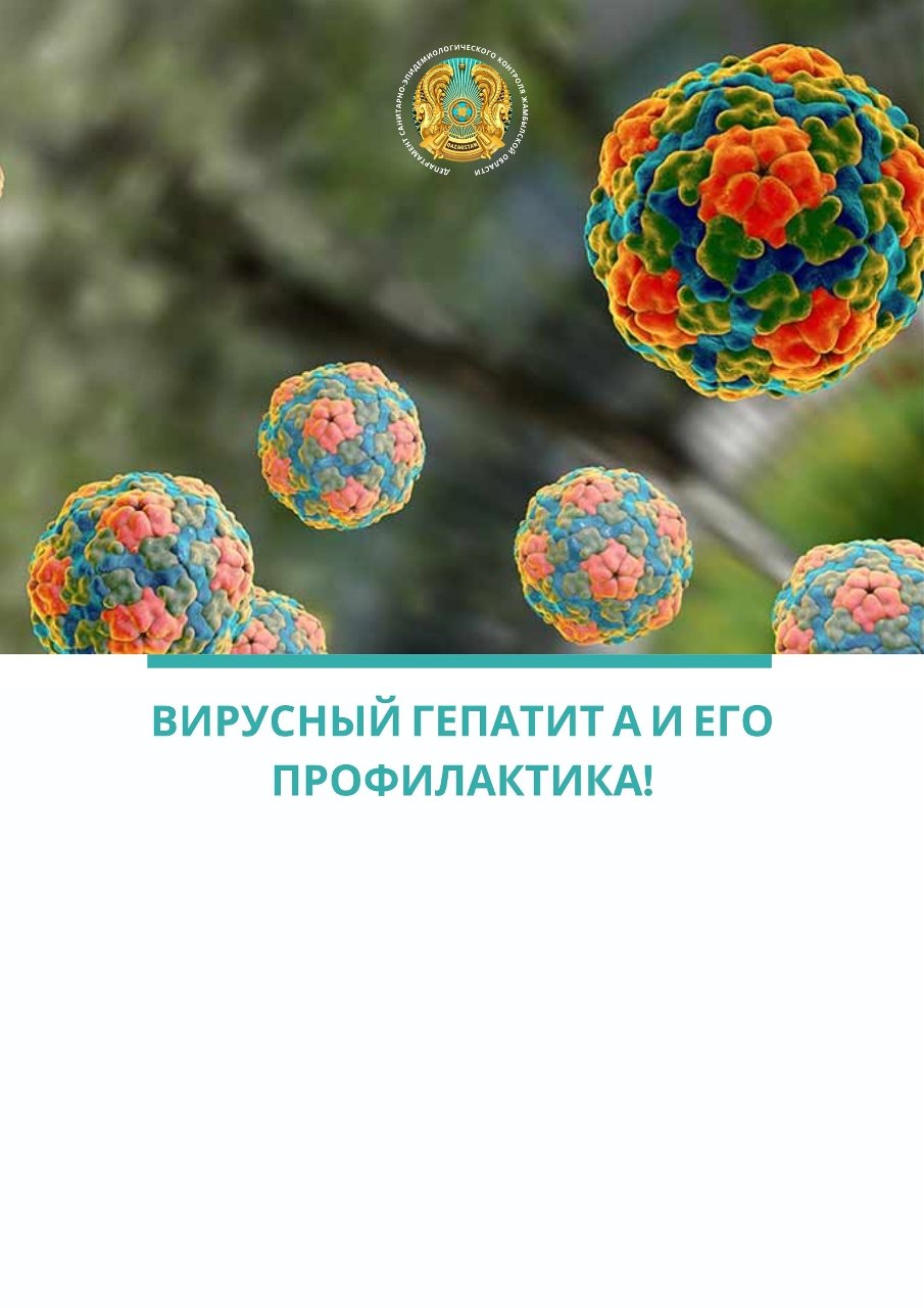 Вирусный гепатит А и его профилактика