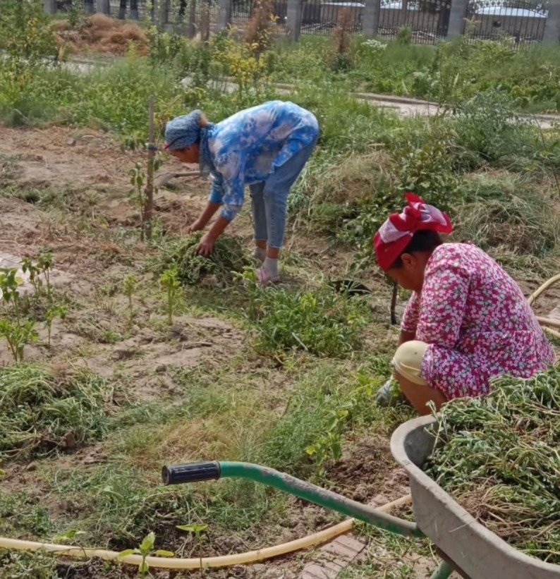 Сенбілік жұмыстары ұйымдастырылды