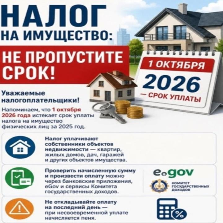 Налог на имущество