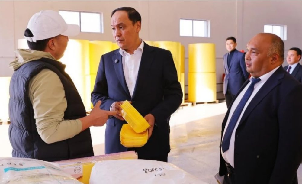 Производство упаковки для продуктов мощностью 70 млн в год запускают в Жамбылской области