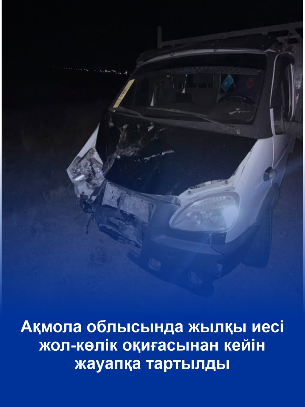 В Акмолинской области владельца лошади привлекли к ответственности после ДТП