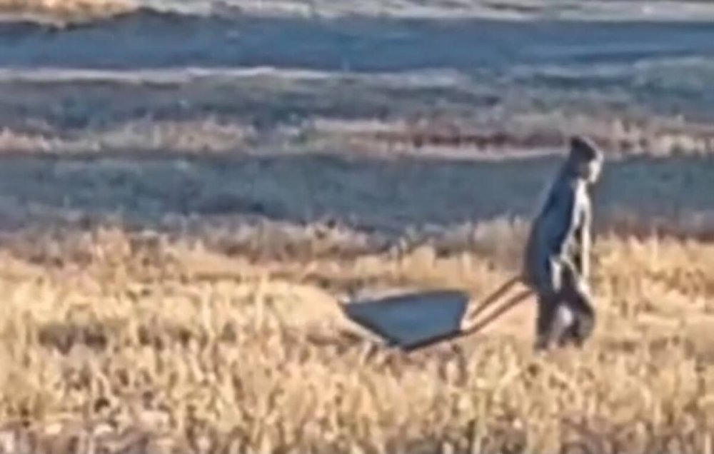 Забрал мусор обратно во двор: в Караганде нарушителя заставили ликвидировать стихийную свалку