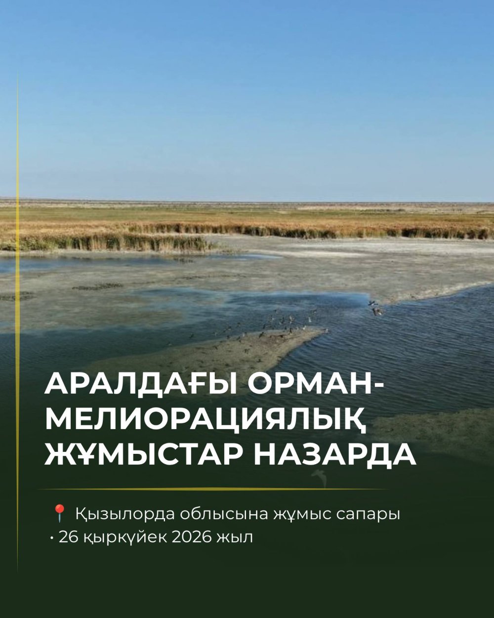 Зеленый пояс на дне Арала: 450 тысяч саженцев саксаула вместо 300 тысяч