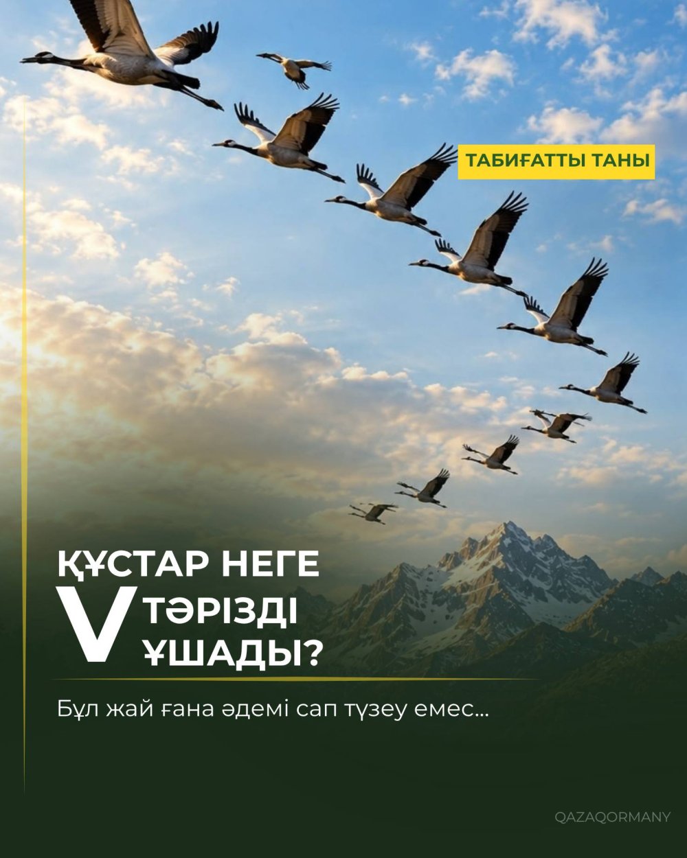 У порядка в небе есть свой секрет