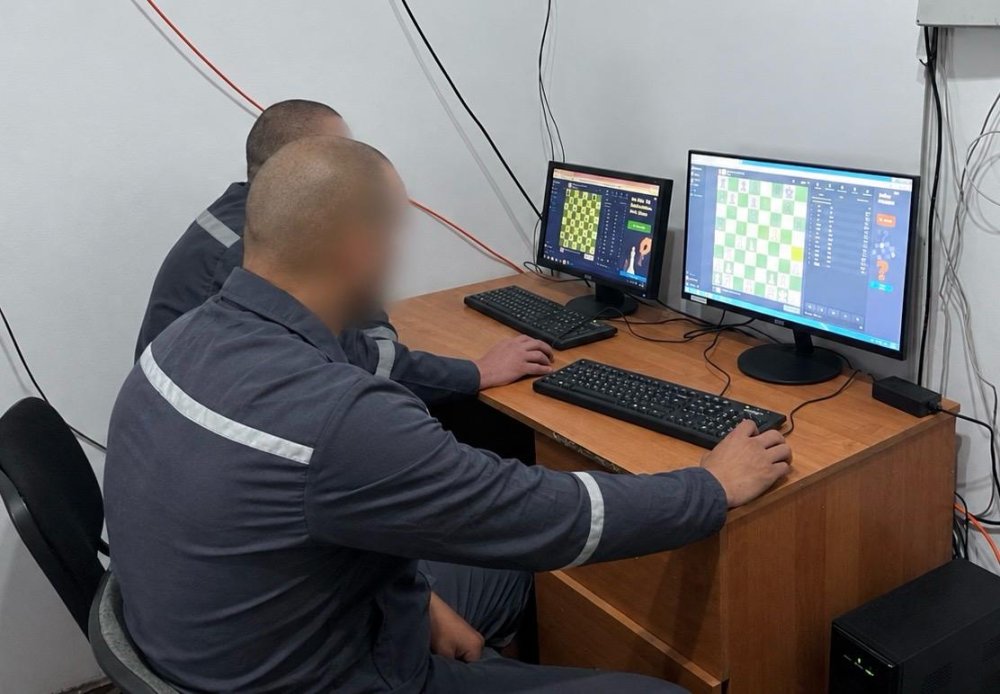 Шахматы за колючей проволокой: определены победители областного онлайн-турнира