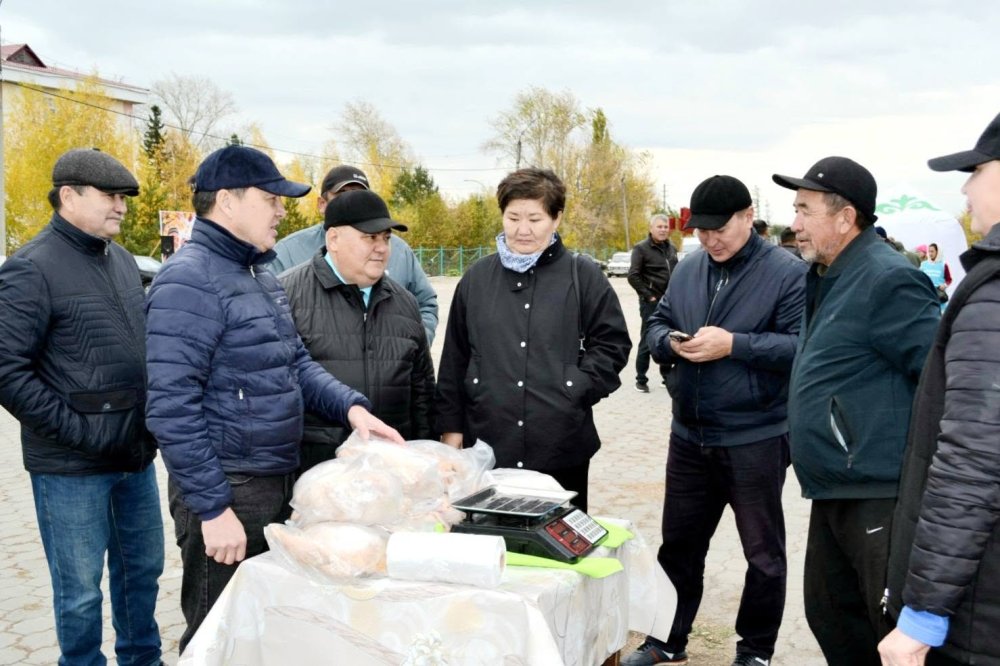 Сельскохозяйственная ярмарка прошла в Саумалколе