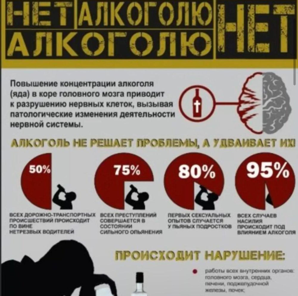ПРОФИЛАКТИКА АЛКОГОЛИЗМА