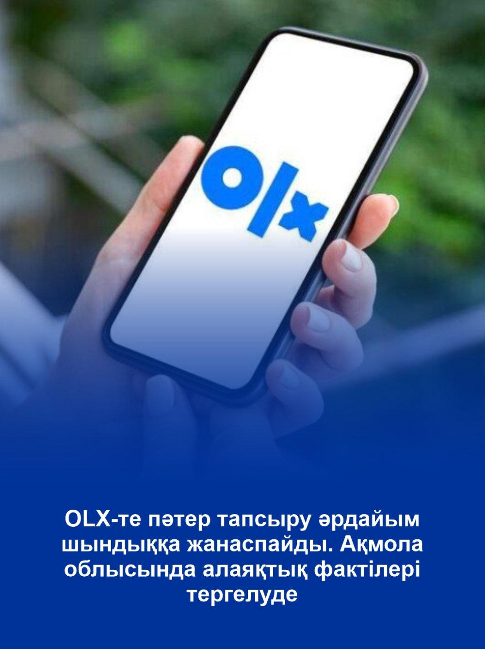 Сдача квартир в OLX не всегда оказывается реальной