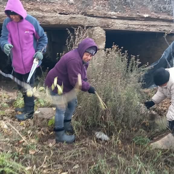 Закрытие водопропускных труб