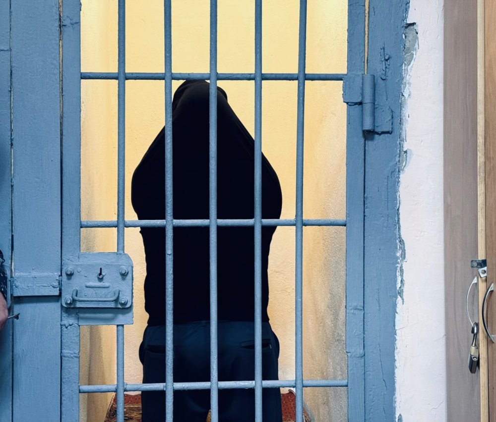 31 нарушение и более 1 млн тенге штрафов: гражданина Армении выдворили из СКО