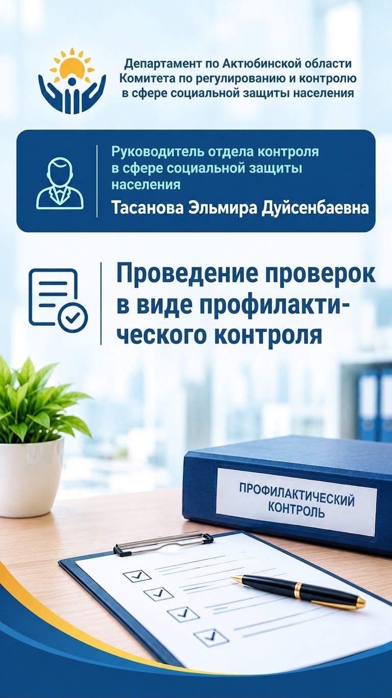 Проведение проверок в форме профилактического контроля