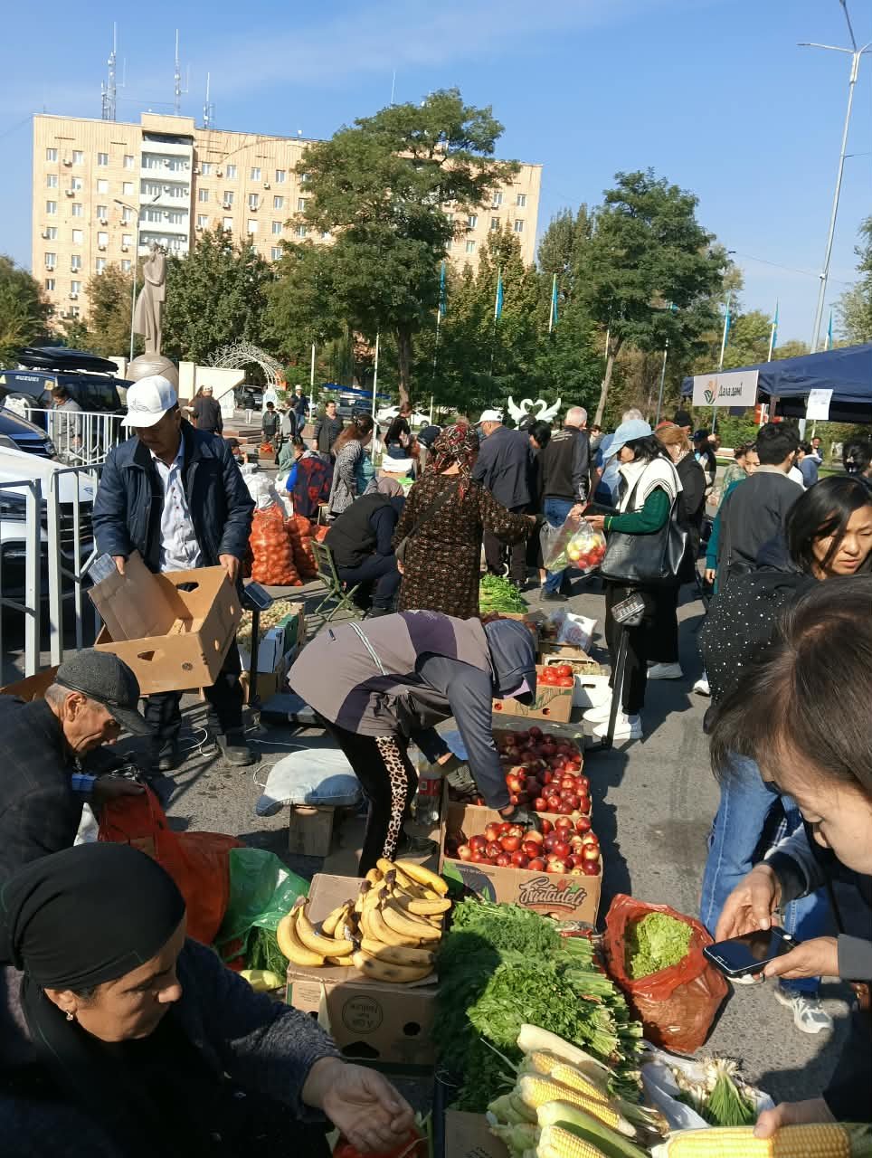 На аллее Жастар прошла сельскохозяйственная ярмарка «Дала дәмі» — Фото 1