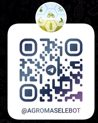 В области Ұлытау запущен Telegram-бот @agromaselebot для приема обращений сельскохозяйственных товаропроизводителей — Фото 2