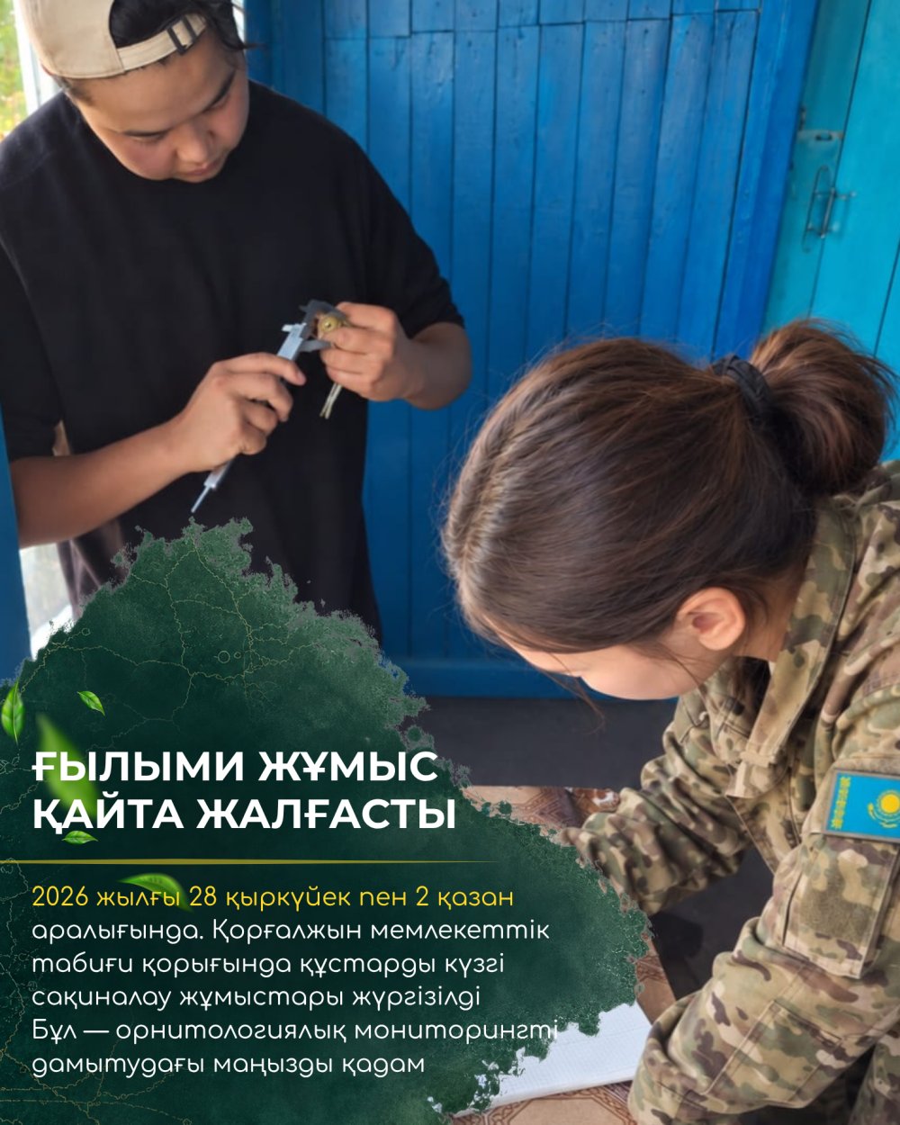 В Коргалжынском заповеднике возобновили кольцевание птиц: 128 особей, 14 видов и удивительная встреча спустя 13 лет! — Фото 2