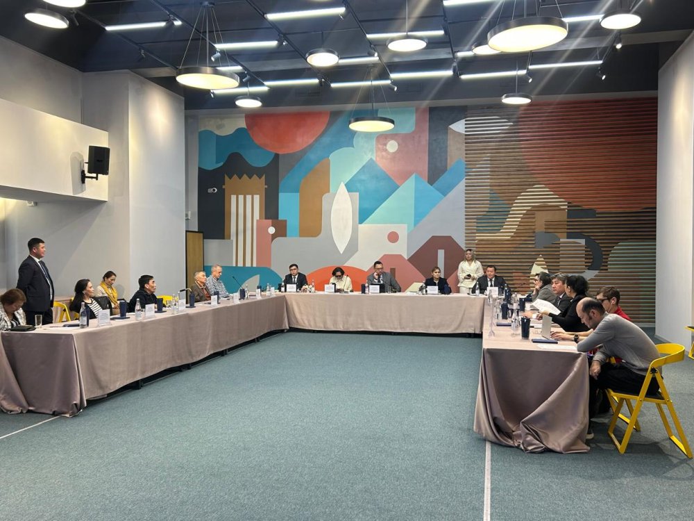Представитель Уполномоченного по правам человека в Республике Казахстан по городу Алматы принял участие в заседании Совета по развитию инклюзивной среды города Алматы. — Фото 1